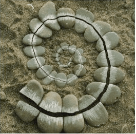 Collective Acts of&nbsp;Beauty